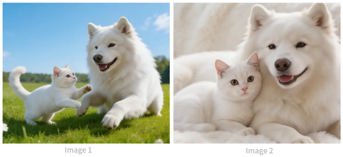 White cat and Samoyed dog reference photos